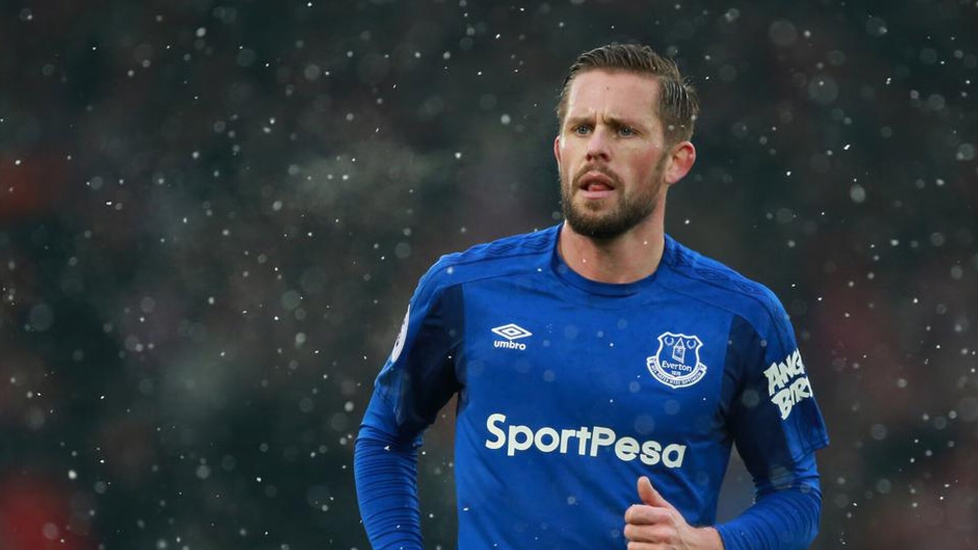 约基奇爆发，辽宁队一波带走篮网，篮球世界的奇妙交汇