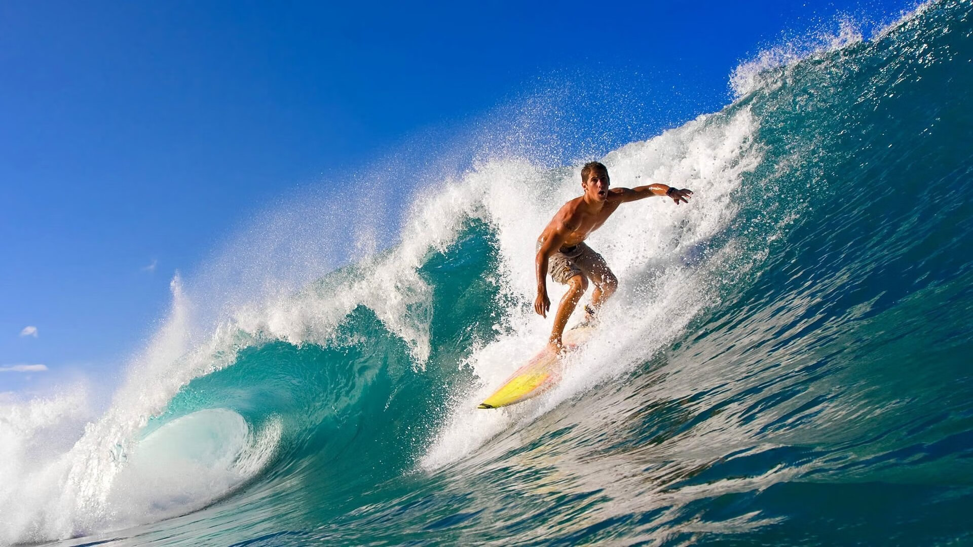 文班亚马完成自我救赎，76人带走老鹰，当天赋遇见坚韧，命运齿轮如何转动？